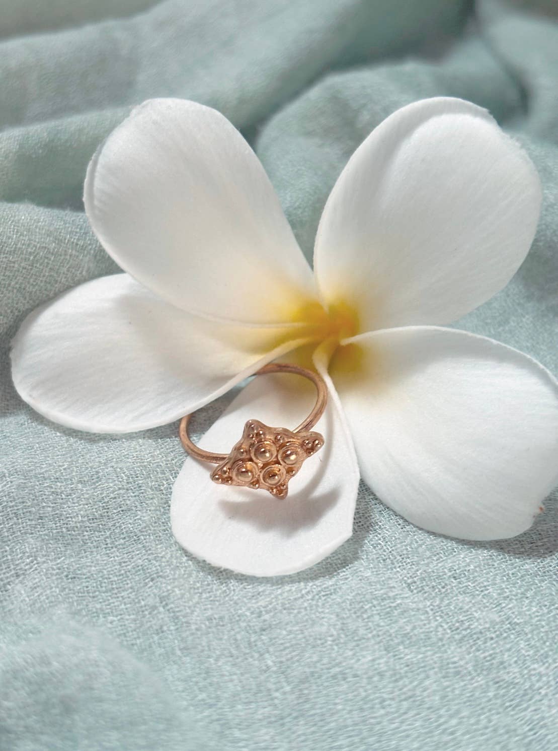 Nakila Collective – Anel de banda por atacado – Anel Senja - Vermeil 22k7