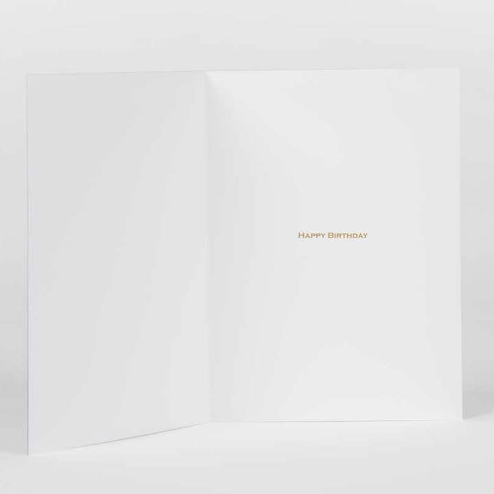 Potluck Press - Wholesale Birthday Card - What The Hell Happened Greeting Card1