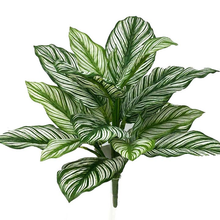 Artificial Zebra Calathea White star Bush 16" for wholesale by ES Essentials