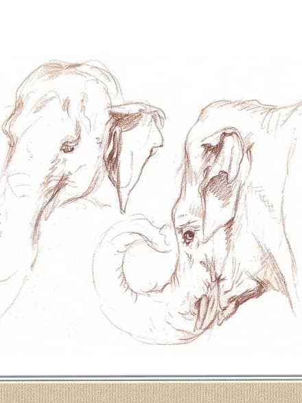 Hans et Parkie pour la vente par Finalina