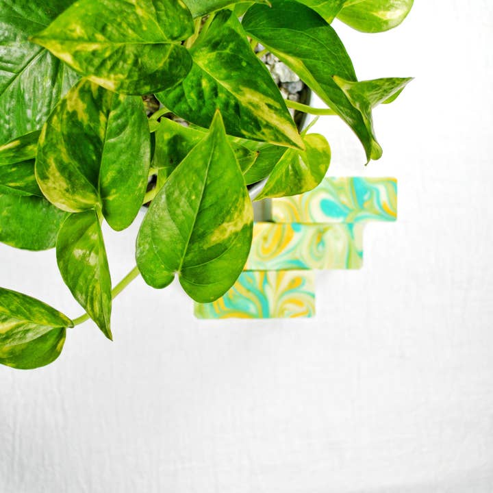 Green Girl Naturals – wholesale Bar Soap – Lemon Eucalyptus Soap2