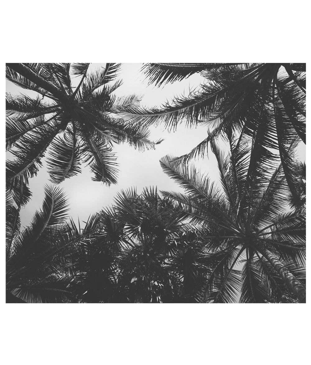 Simple Shapes – wholesale Wallpaper – Palm Tree Photograph Wall Art1