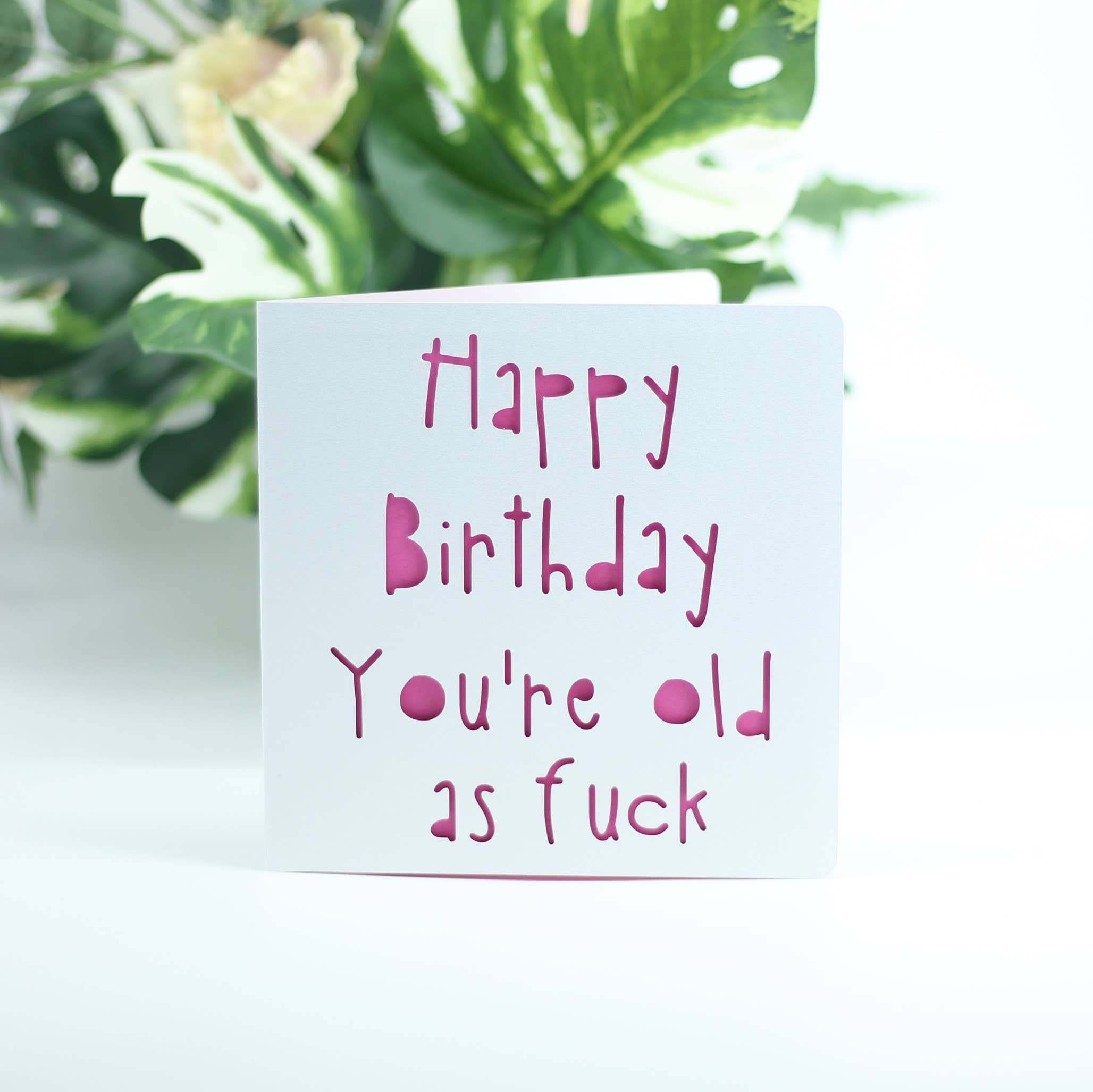 Paradise Papercraft - Vendita all'ingrosso Biglietti di auguri - Buon compleanno, sei vecchio come fottuto1