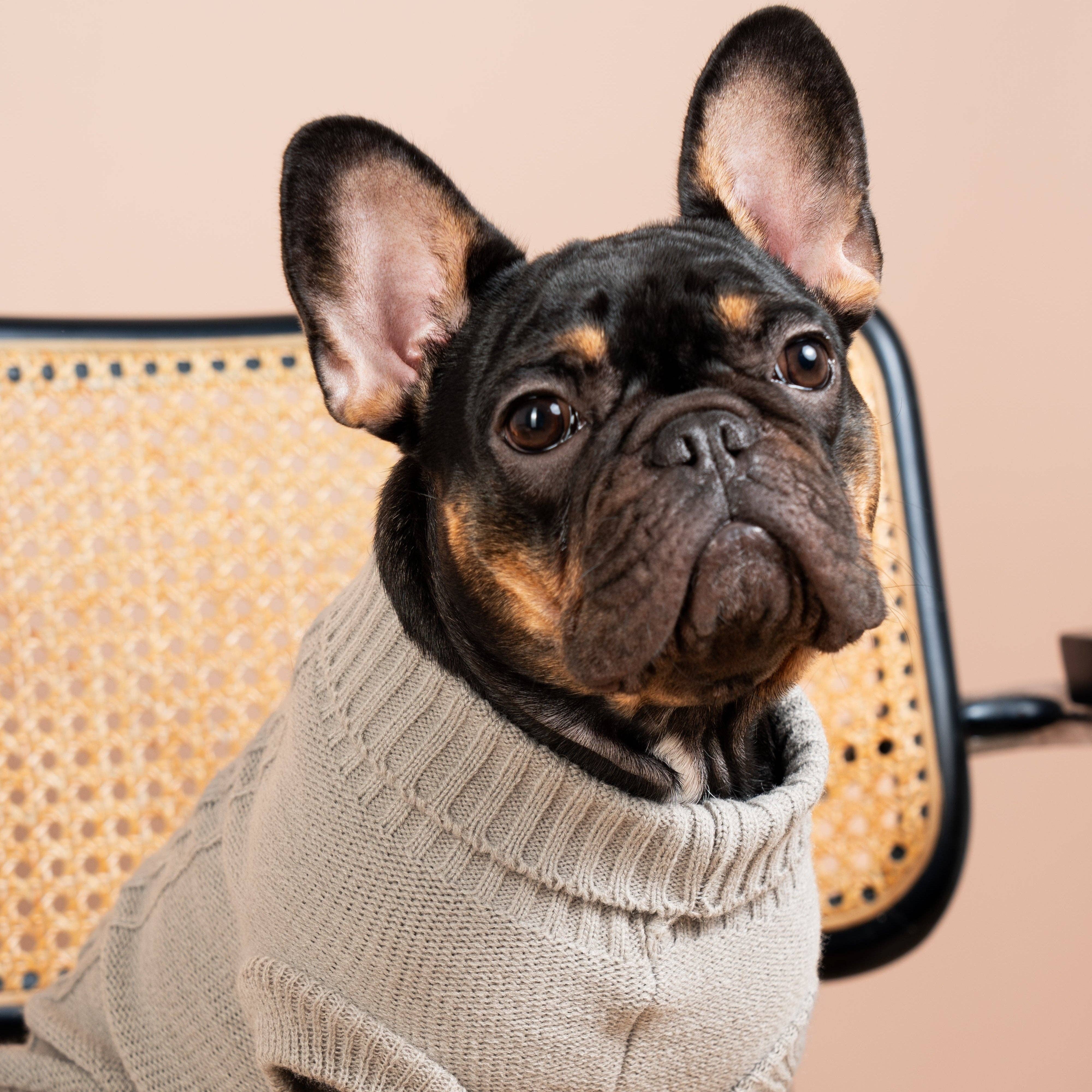 Nuk Pets - Wholesale Pet Sweater - Dog - Jersey Lily2