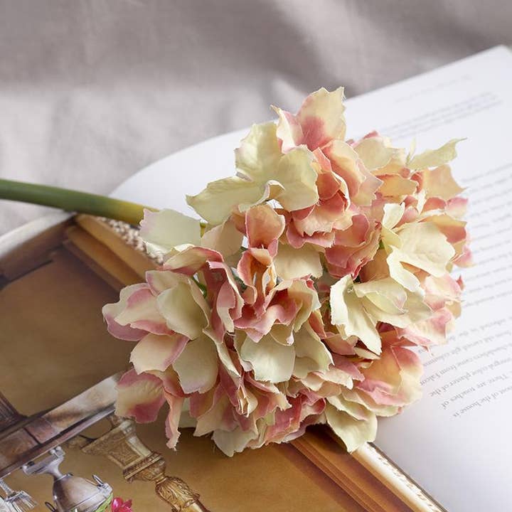 Almost Real 14" Hydrangea - Blush and other Purchase wholesale artificial hydrangea flowers. Free returns & net 60 terms on Faire trending on Faire.