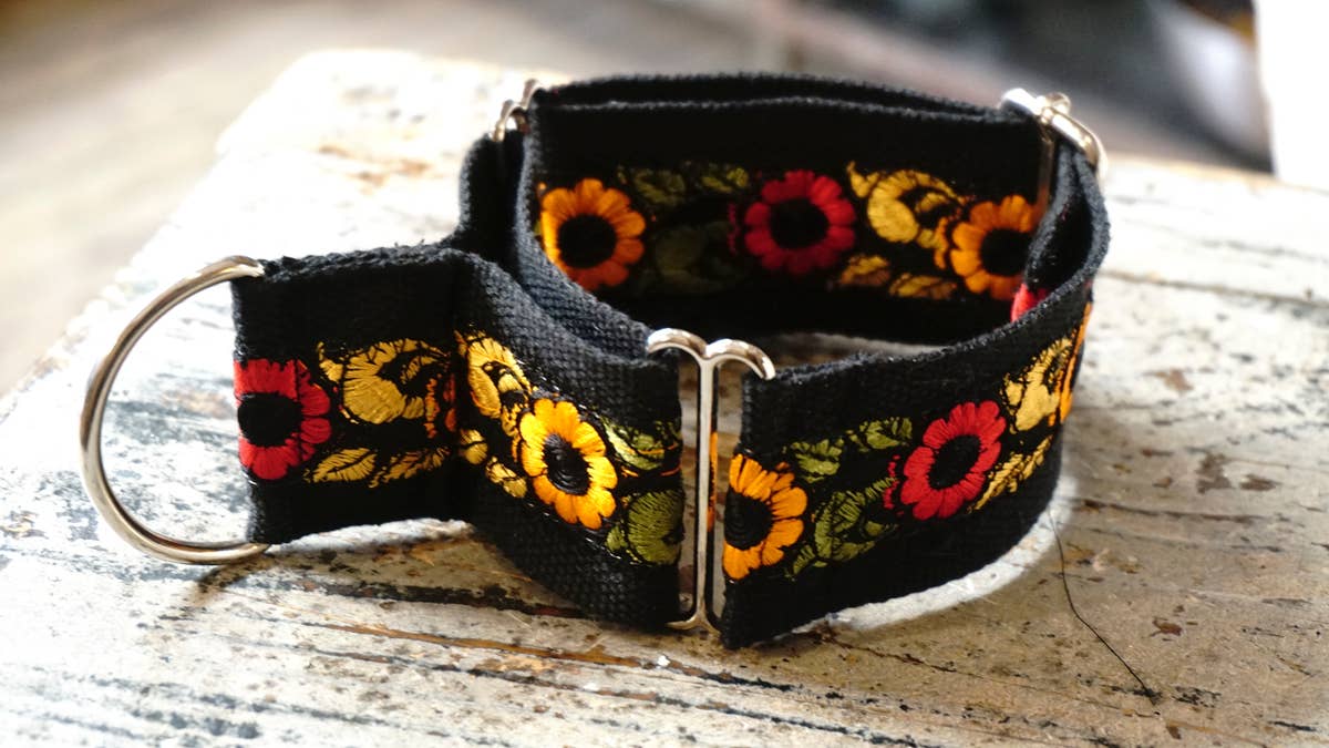 hundsfutter - Wholesale Pet Collar - Dog - Wide collar anti escape design10