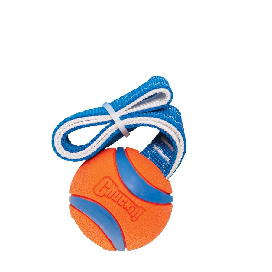 Hofman Animal Care – Großhandel Apportierball – Hund – Chuckit Ultra Tug M mit 6 cm Ball