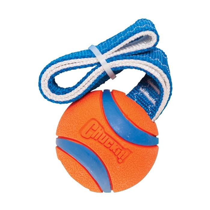 Hofman Animal Care – Großhandel Apportierball – Hund – Chuckit Ultra Tug M mit 6 cm Ball0