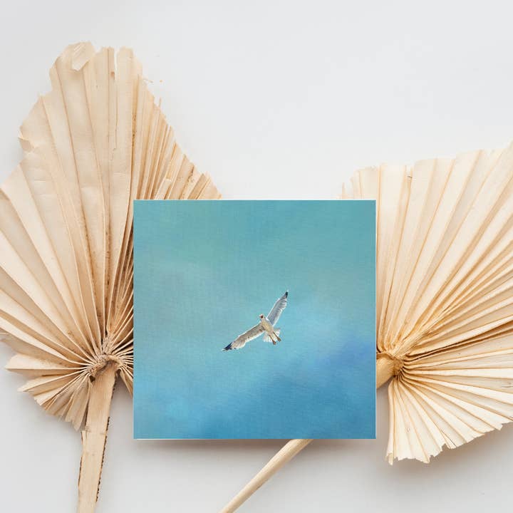 Portrait of Clouds - Wholesale Everyday Greeting Card - Seagull Greetings Card "Soar" - Luxury Textured Cardstock