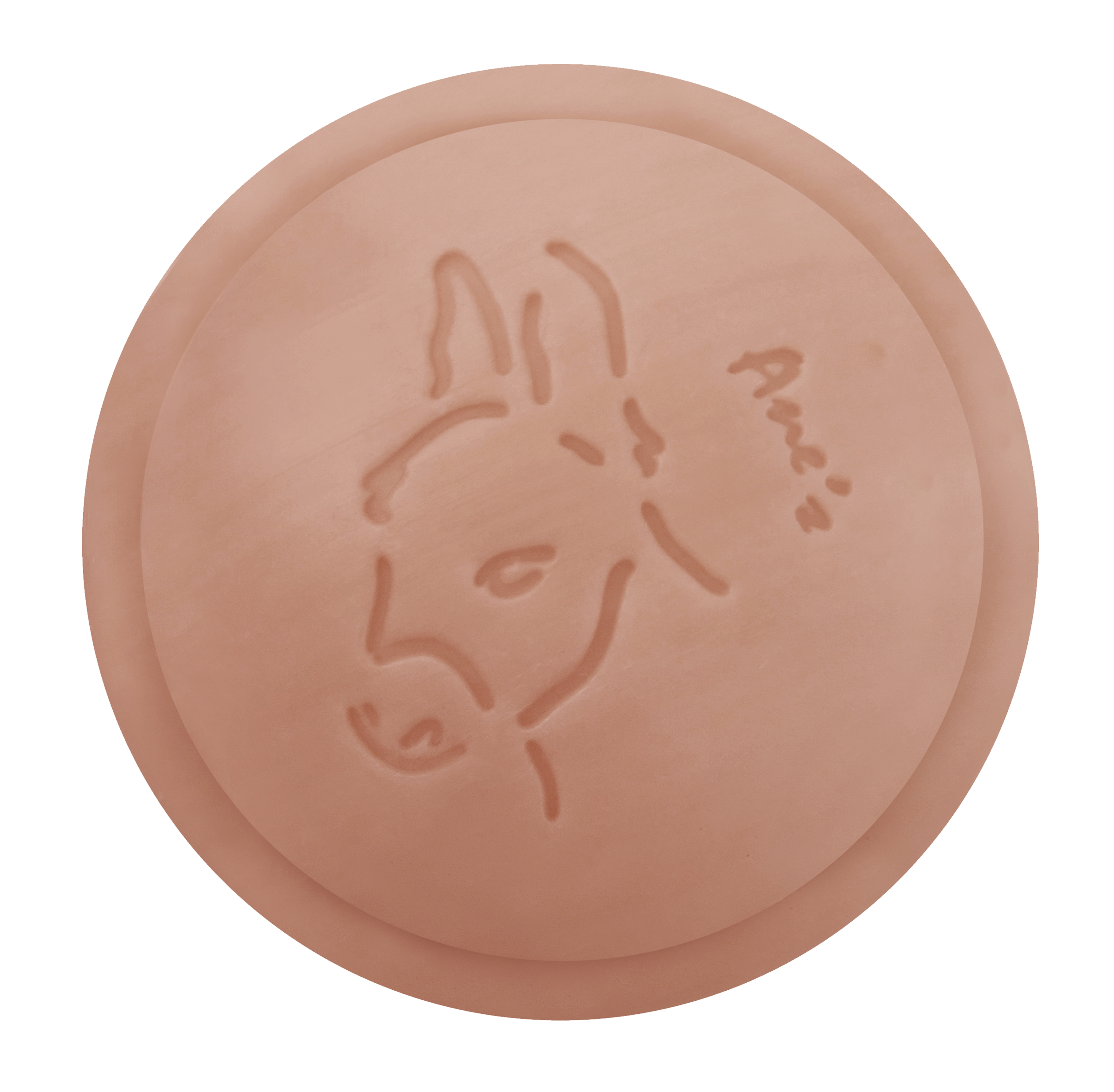 SARL Provinsales - Wholesale Bar Soap - Monoi oil soap1