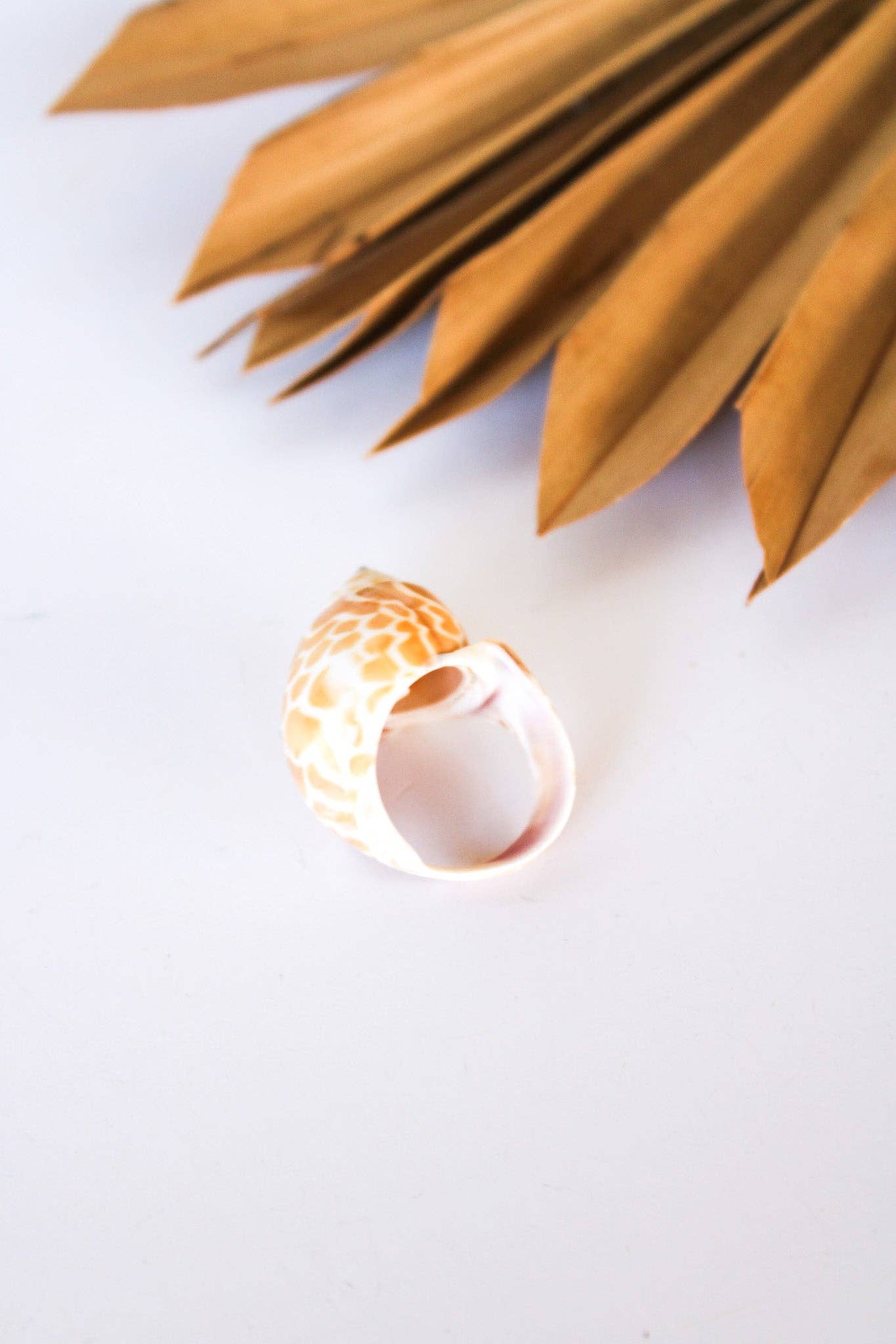 Bali Queen - Wholesale Cocktail/Statement Ring - Bali Shell Rings10