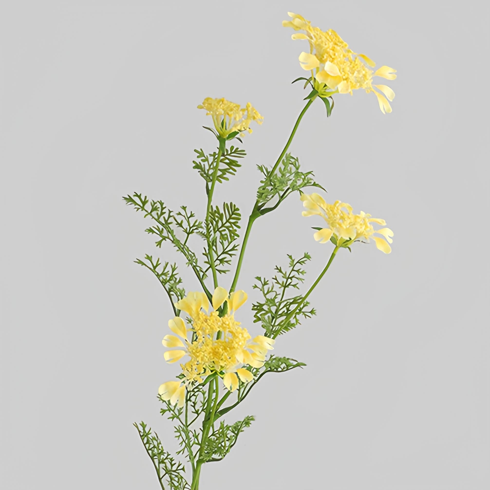 ACNITE(We cover U.S. import duties) - Wholesale Artificial Flowers - Artificial Flower Bai Fei Xiang For wedding decor Bouquet5