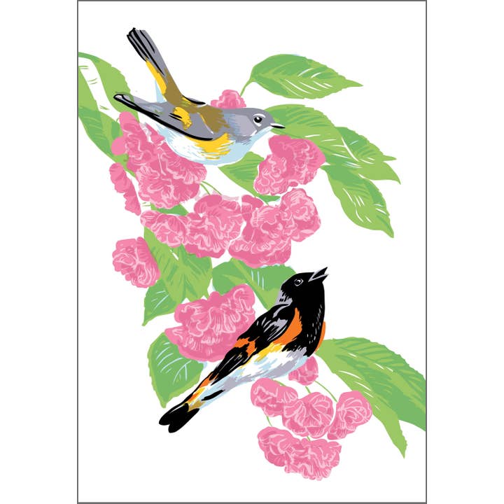 RBI-186 Redstart Bird & Pink Cherry Flower Blossom Art Print for wholesale by Rigel Paper