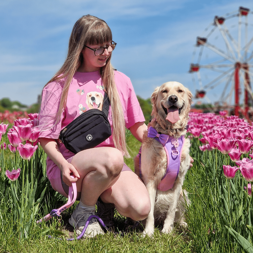 Bailey and Coco – wholesale Pet treat bag – Dog – Magnetic Snap Dog Walking Bum Bag - Black1