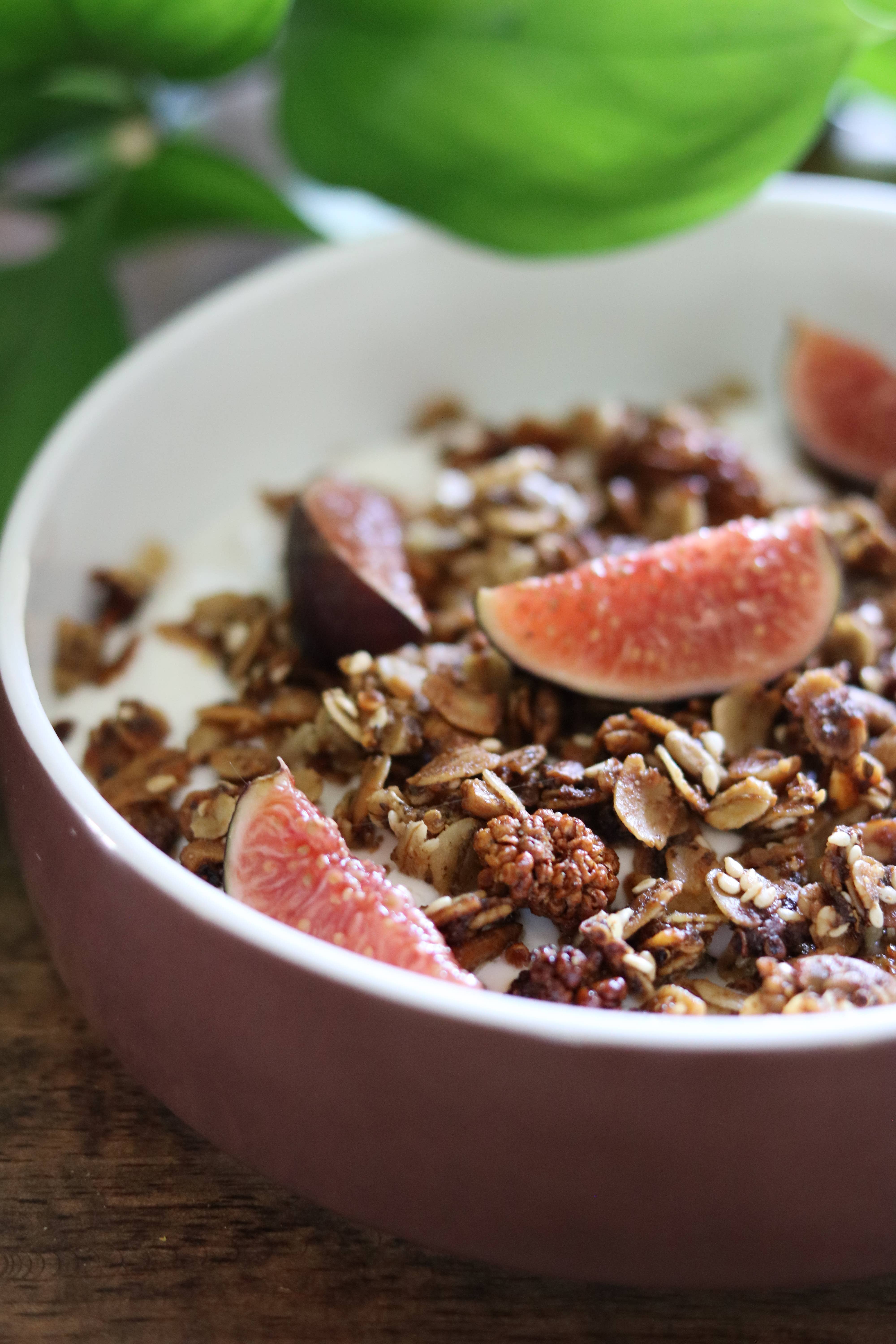 Hungry Bird Eats - Wholesale Granola - Granola - Quinoa Crunch2