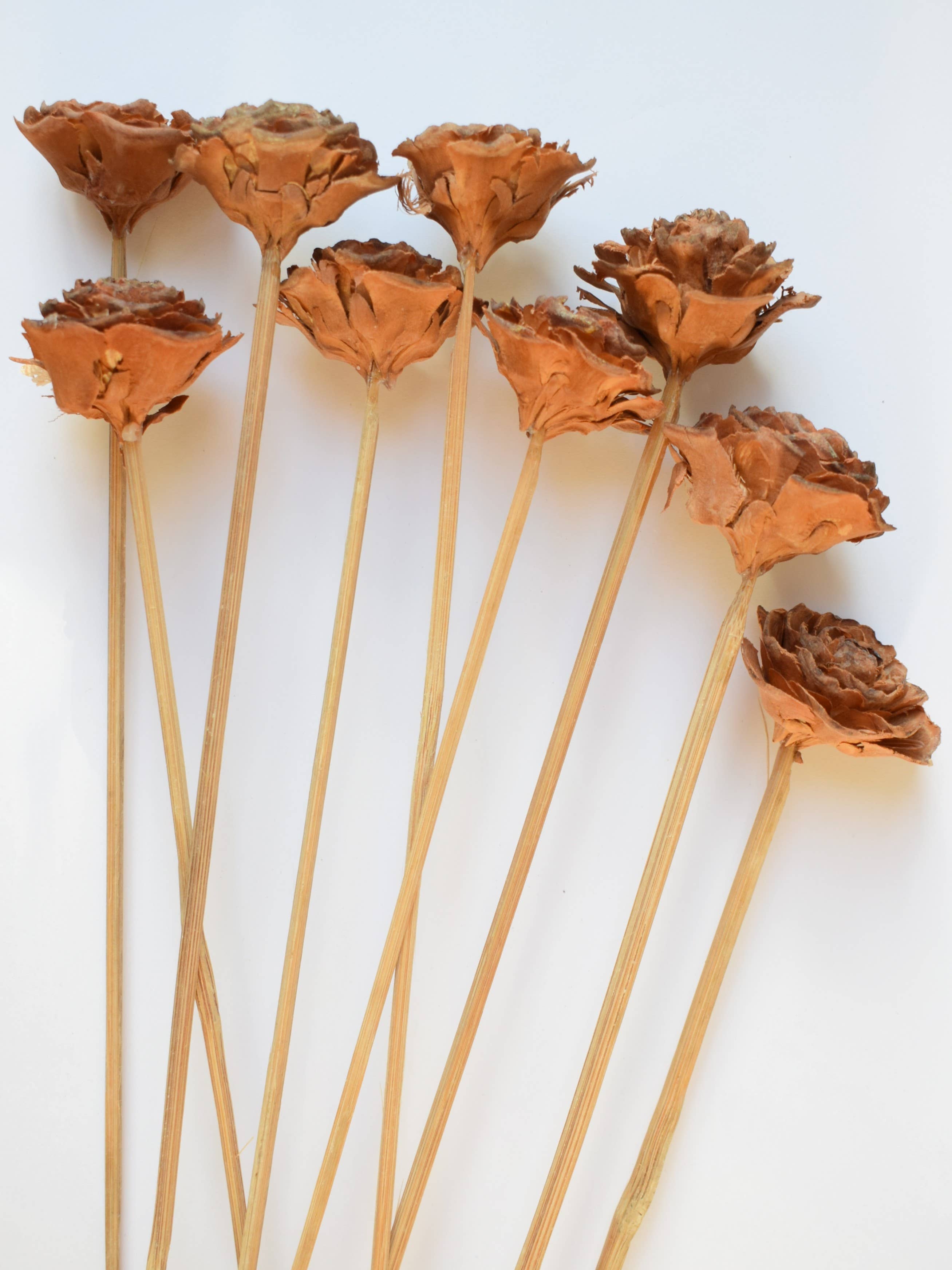 Daisy Gifts Ltd – wholesale Artificial flowers – Cedar Rose Pick Bunch of 9 Woodrose Stems10