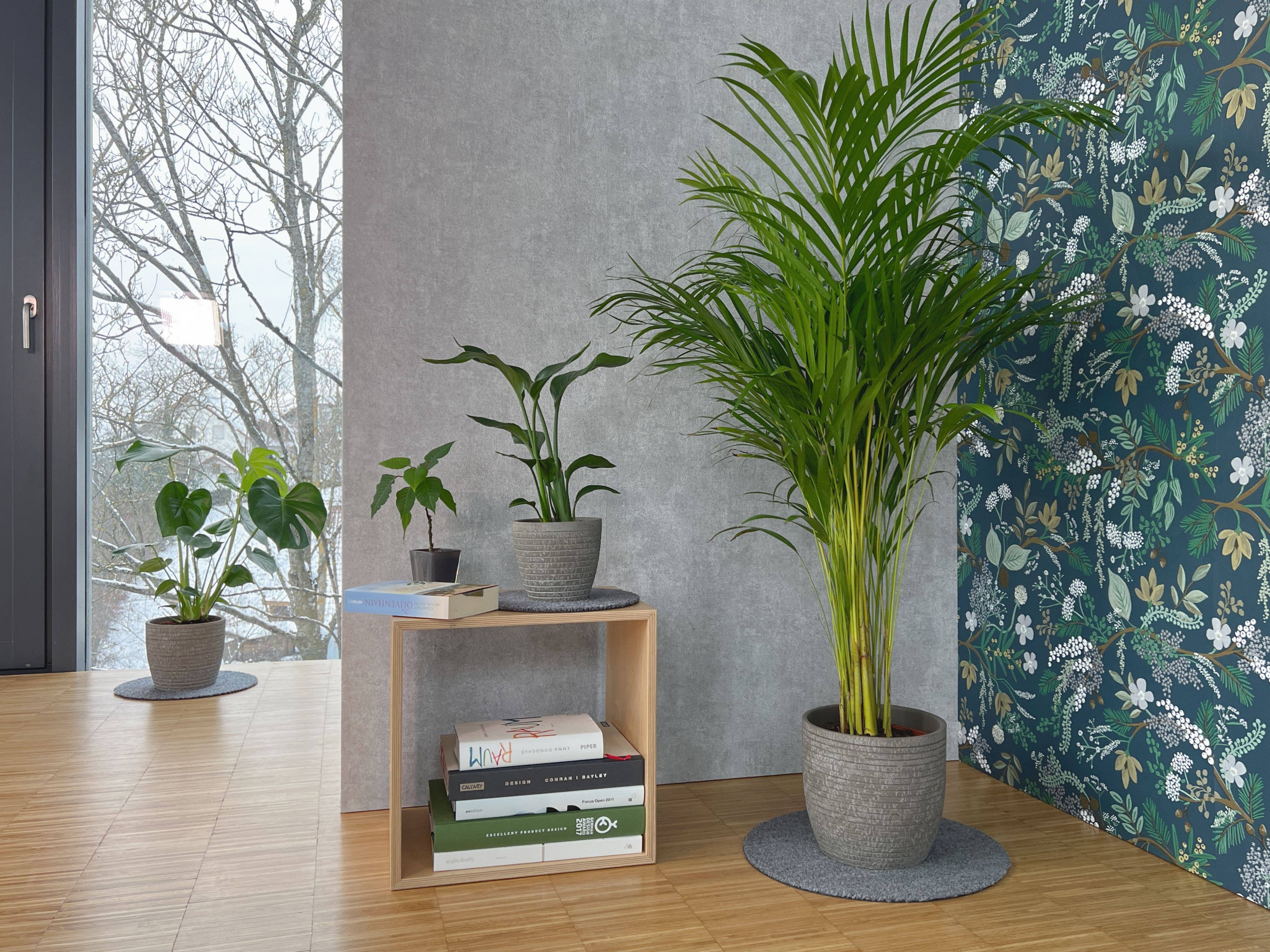 Keilbach Designprodukte - Wholesale Plant Pot - Flora1