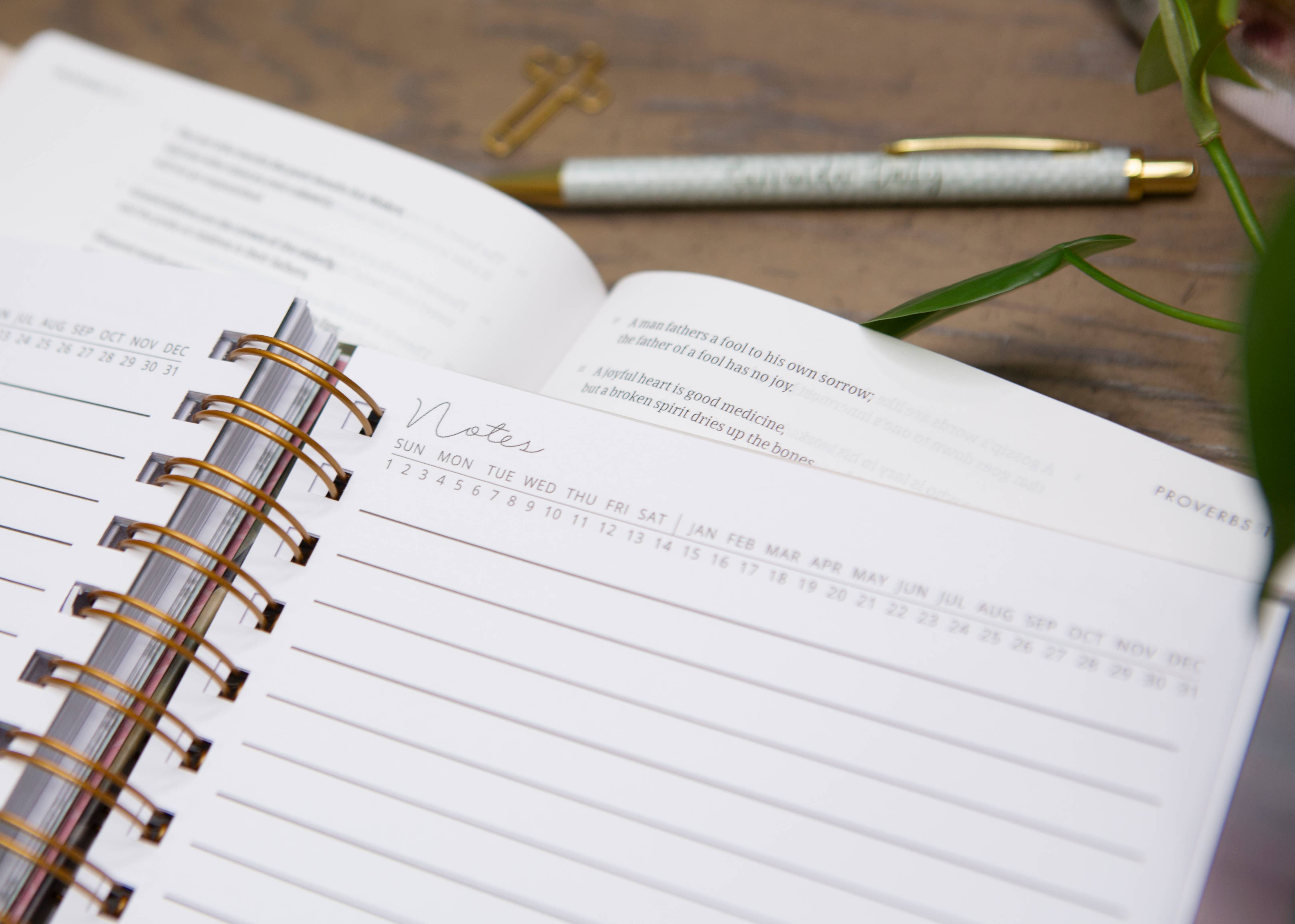 Chosen & Cherished - Wholesale Journal/Diary - New Mercies Prayer Journal for Women5