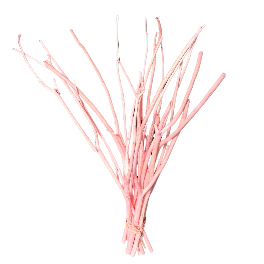 Botanico Ltd. - Wholesale Dried/Pressed Flowers - Mitsumata Branches2