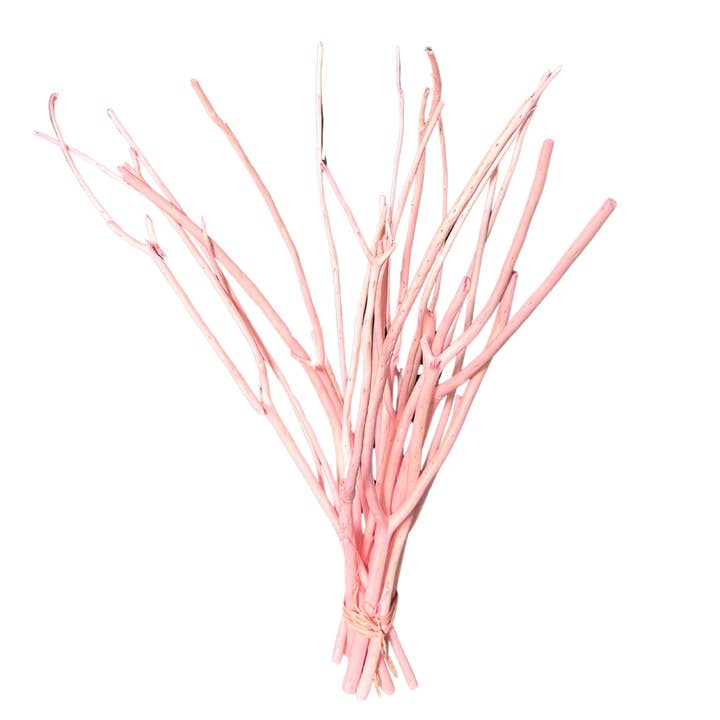 Botanico Ltd. - Wholesale Dried/pressed flowers - Mitsumata Branches2