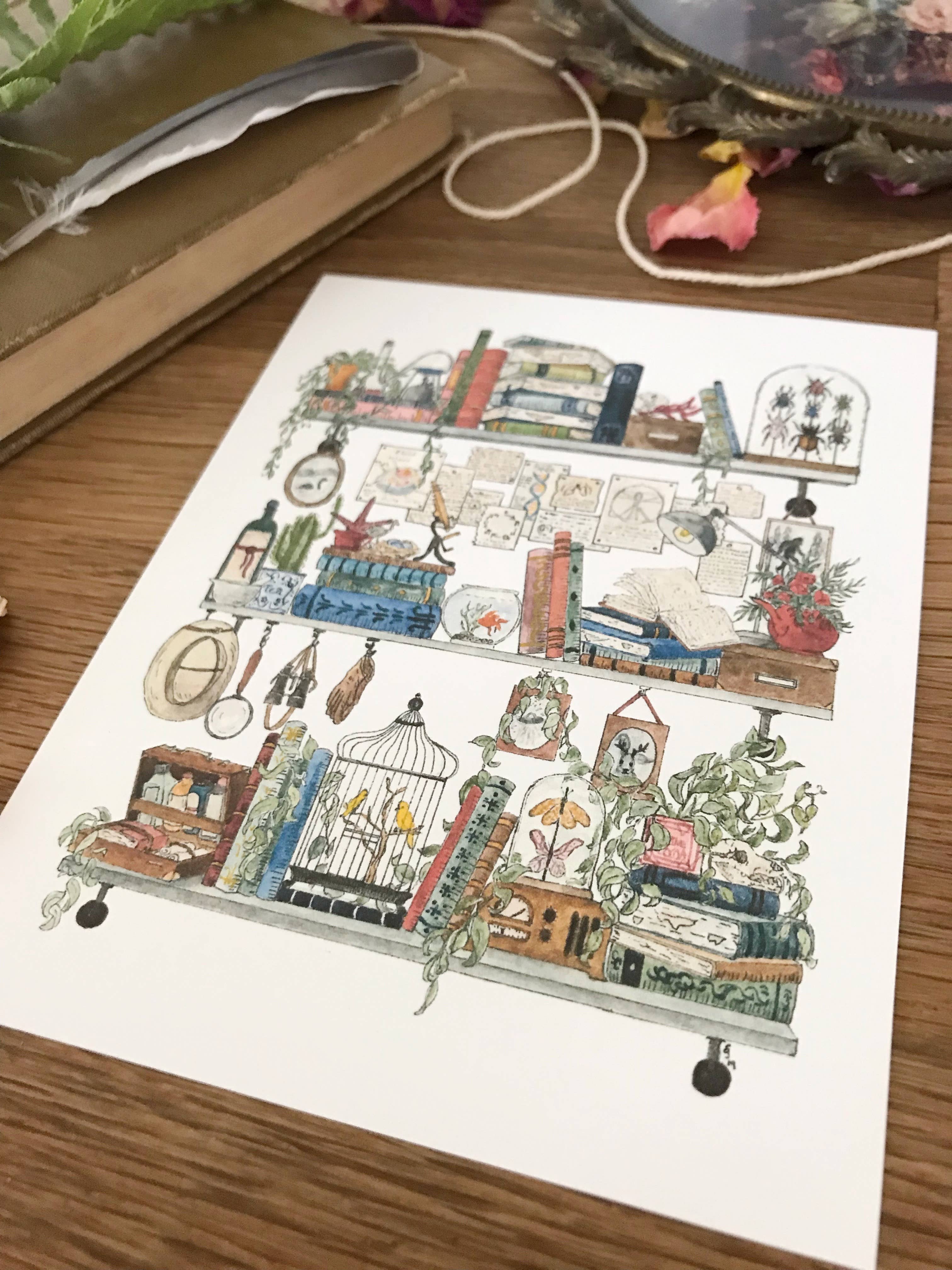 Lizzy Gass - Wholesale Postcard - The Biologist's Shelves Postcard4