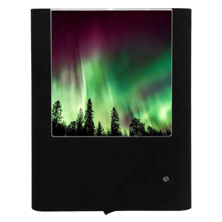 Auroras boreales, auroras boreales y árboles forestales para venta al por mayor de Nightlight Studio