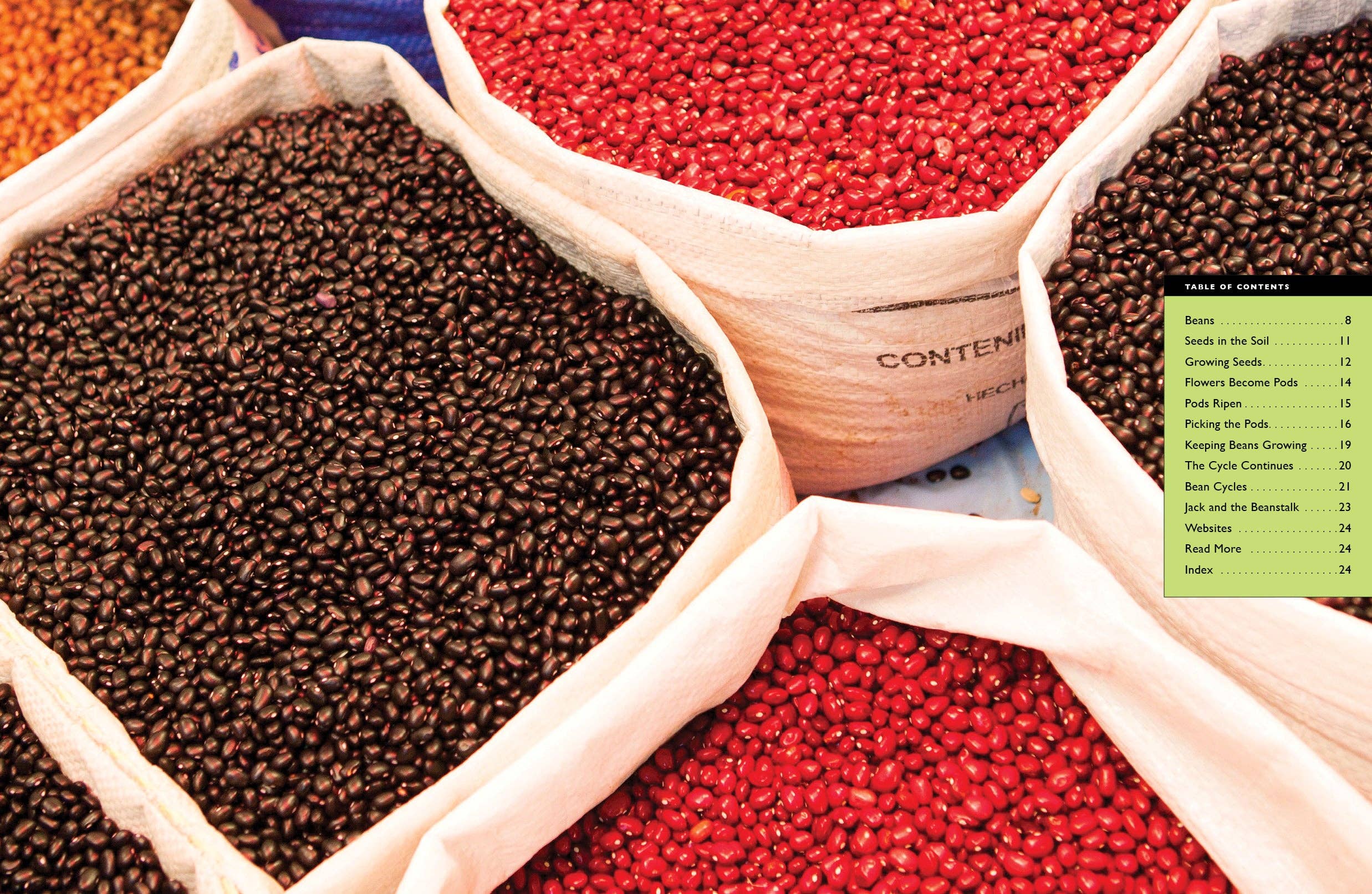 The Creative Company - Vendita all'ingrosso Libro per lettori principianti (6-8) - Fagioli1