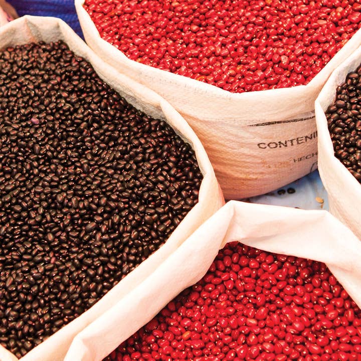 The Creative Company - Vendita all'ingrosso Libro per lettori principianti (6-8) - Fagioli1