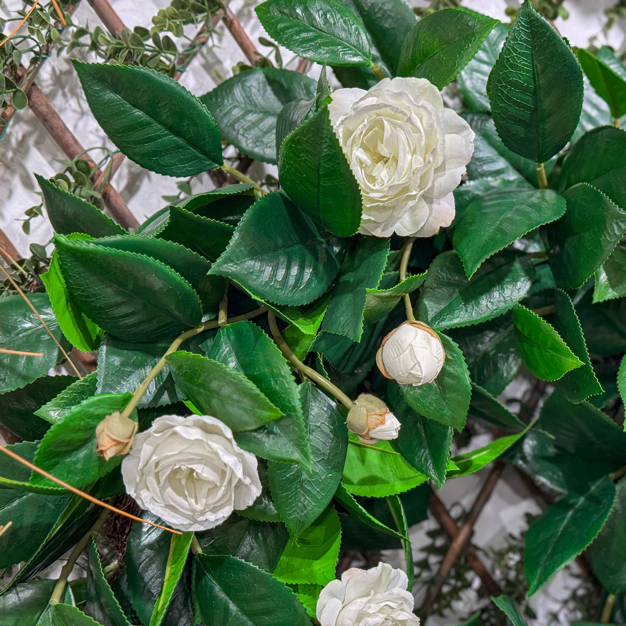 Mills Floral Company – wholesale Wreath – Camelia Flower Wreath - White - 26 Inch3