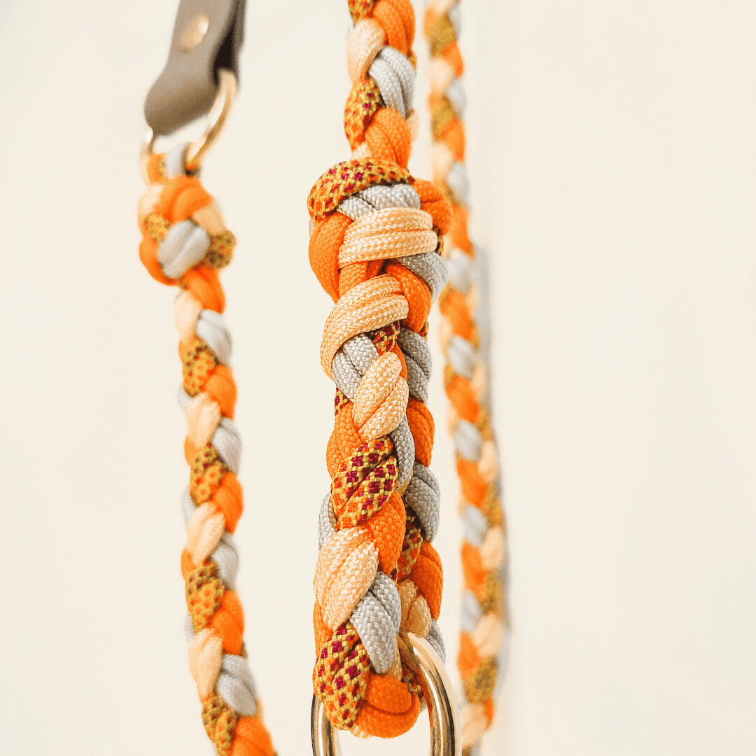 Truffe & Flair - Wholesale Pet Leash - Dog - Braided dog leash - Biothane/Paracord - Orange3