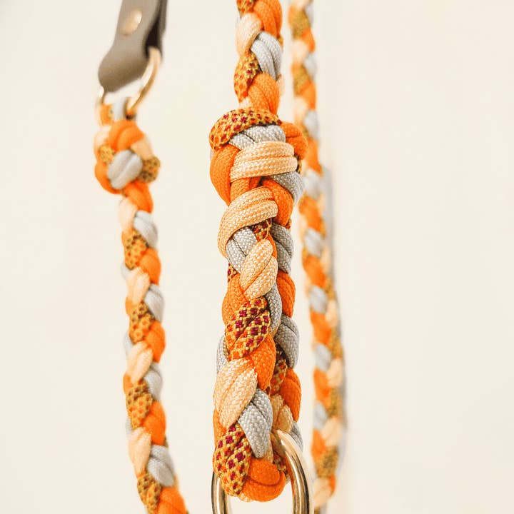 Truffe & Flair - Wholesale Pet Leash - Dog - Braided dog leash - Biothane/Paracord - Orange3