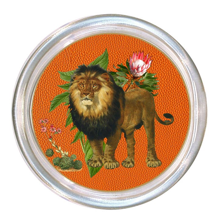 Lion on Orange African Obsession Coaster for wholesale by Marye-Kelley