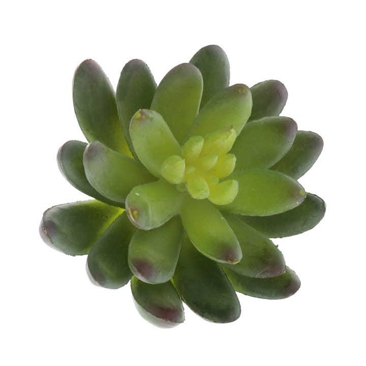 HomArt - Wholesale Succulent - Faux Succulent - Lrg - Green