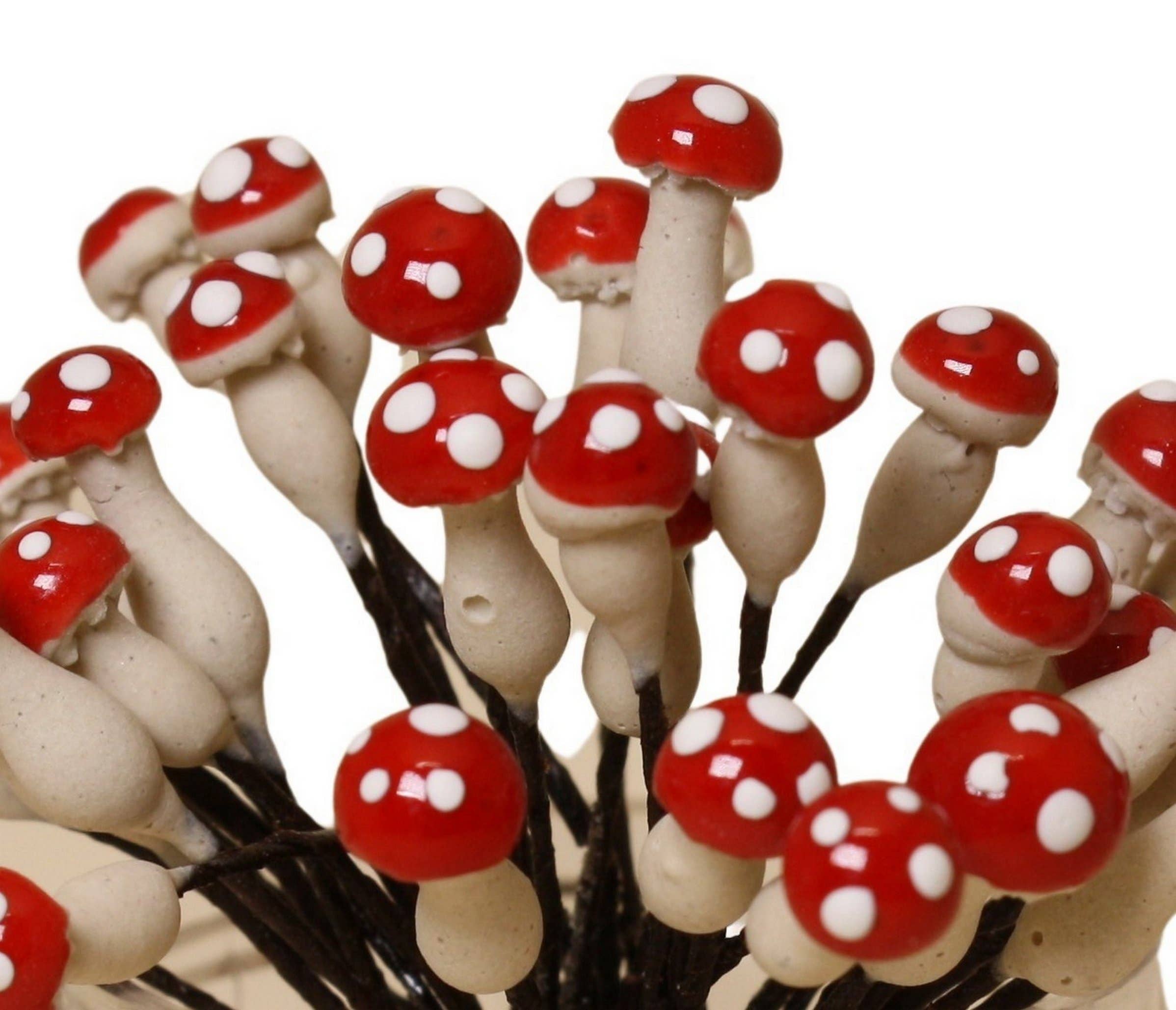mélanger Champignons en plâtre rouge, 1/4 po, double tête, 35 pièces 218-0166 en vente sur Faire7