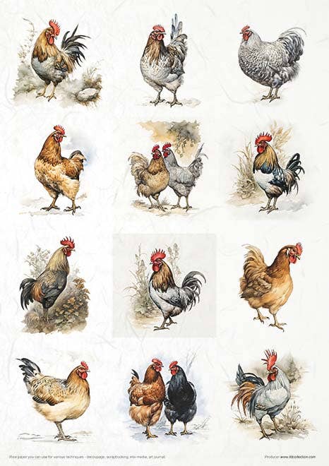 ITD Collection - Vente Matériels de bricolage - RP068 - Set créatif de papier de riz - 11 feuilles format A4 (21 x 29,7 cm)2