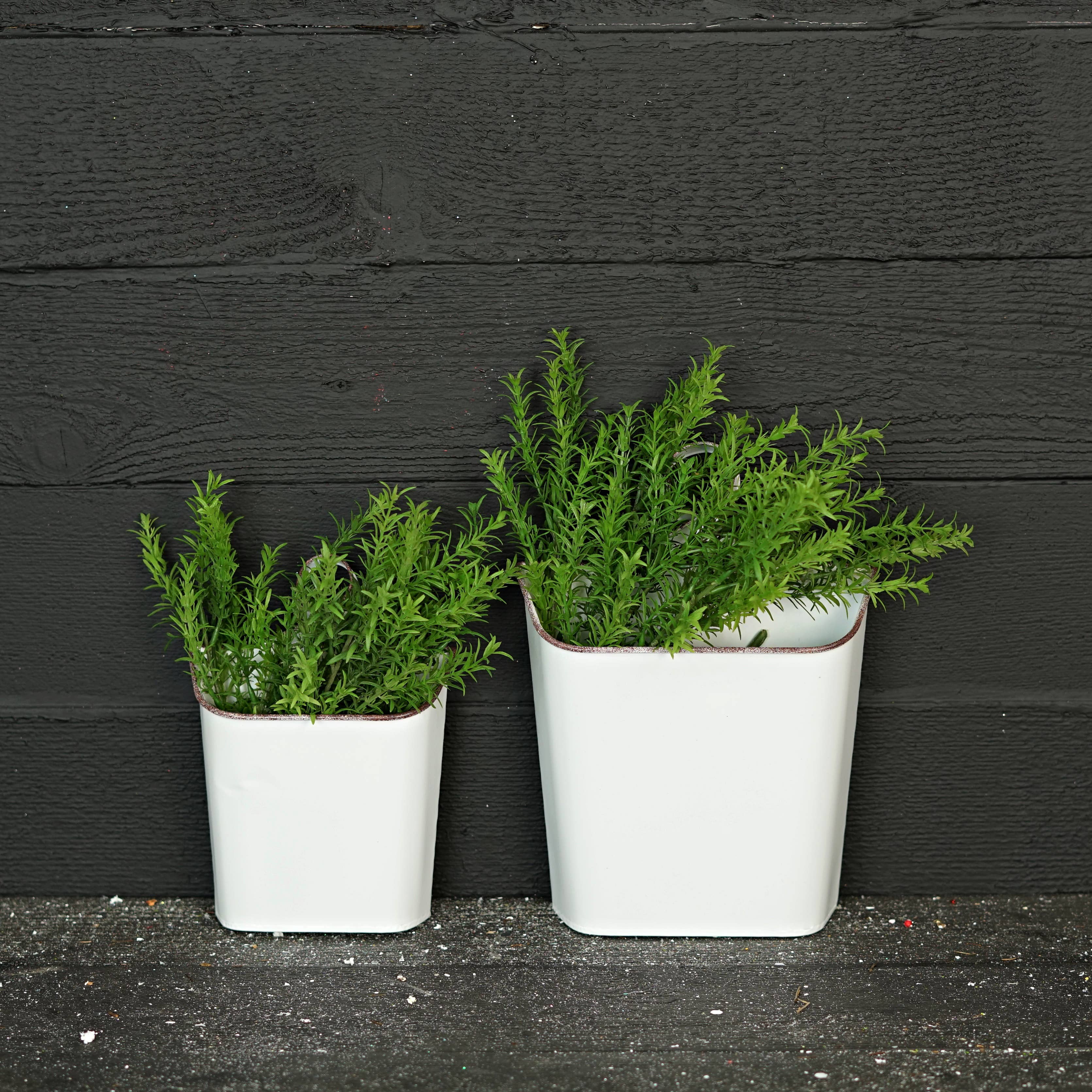 Holiday Depot Inc. - Wholesale Bucket/Pail - 570613- Metal Wall Bucket-White with Rusty Edges-9Hx6.5Wx2.25