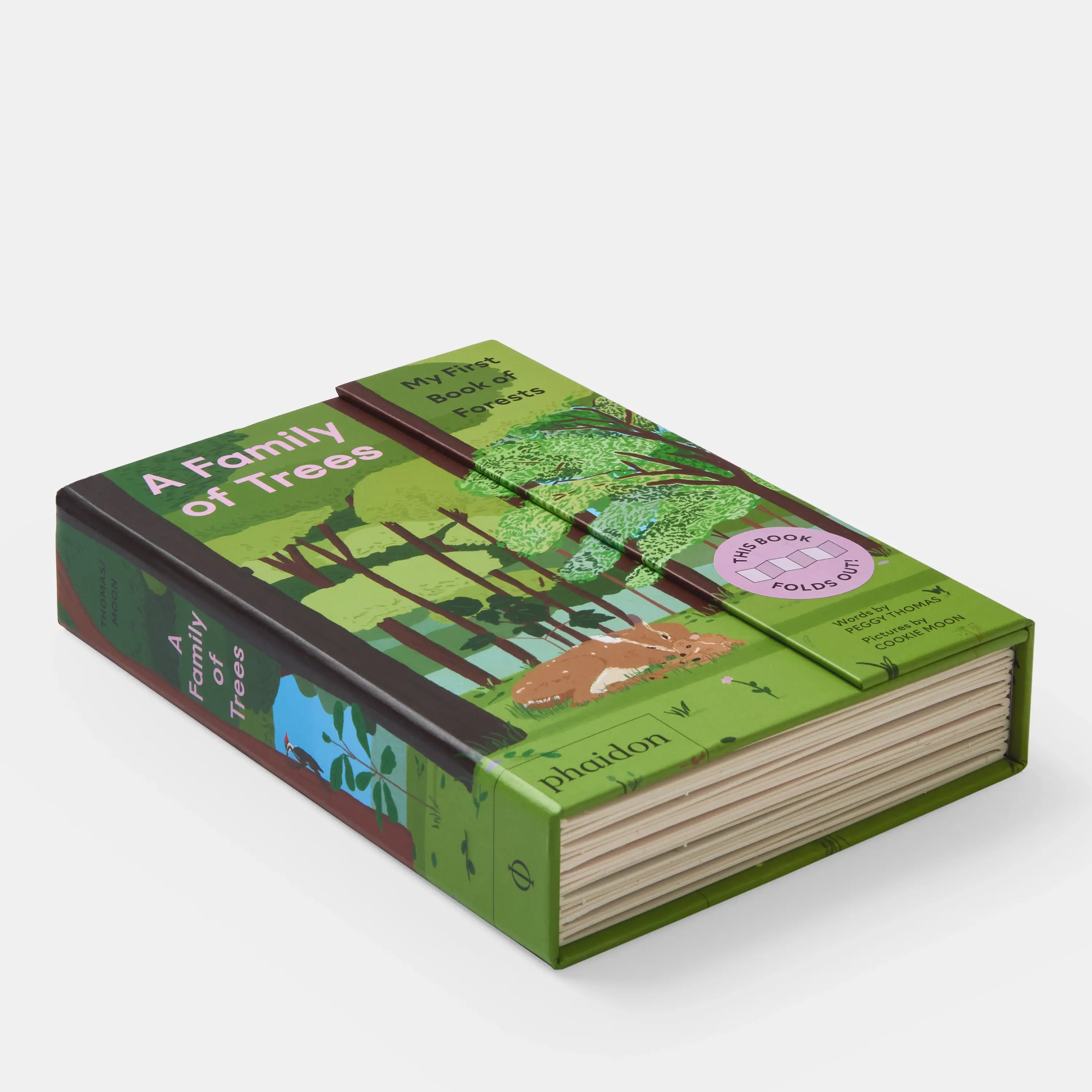 Phaidon Press - Vente Livre pour enfants de maternelle (de 3 à 5 ans) - Une famille d'arbres : mon premier livre sur les forêts9