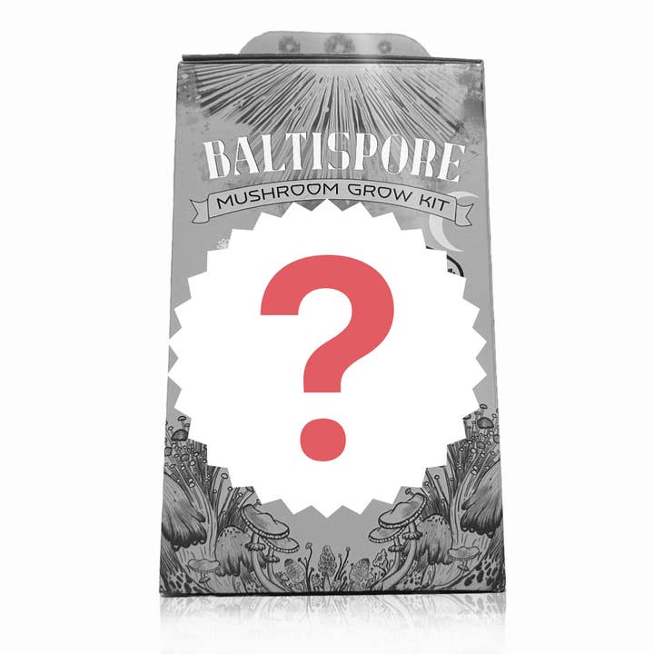 Kit de cultivo de hongos «Surprise Me» para venta al por mayor de BaltiSpore LLC
