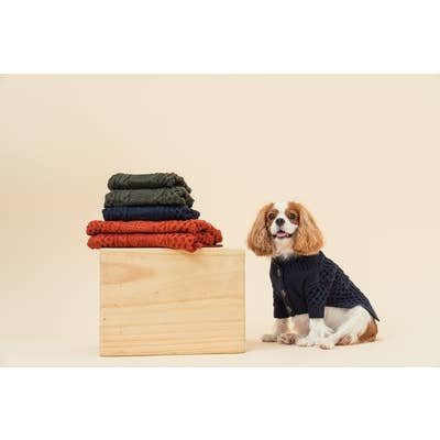 PEHOM - Wholesale Hondentrui - Hond - Vest met kraag voor huisdieren11
