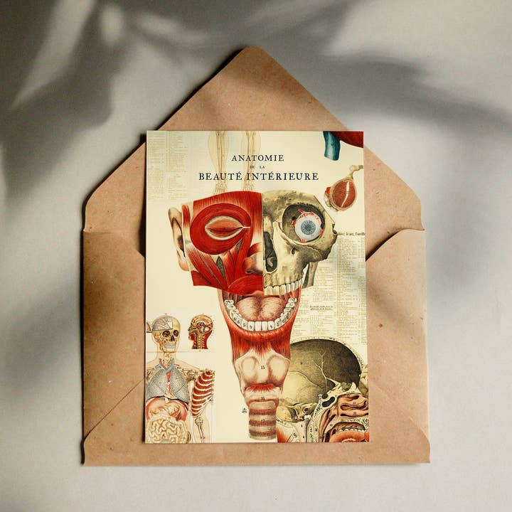 Carte Anatomie de la beauté intérieure #1 pour la vente par Maison Chapal