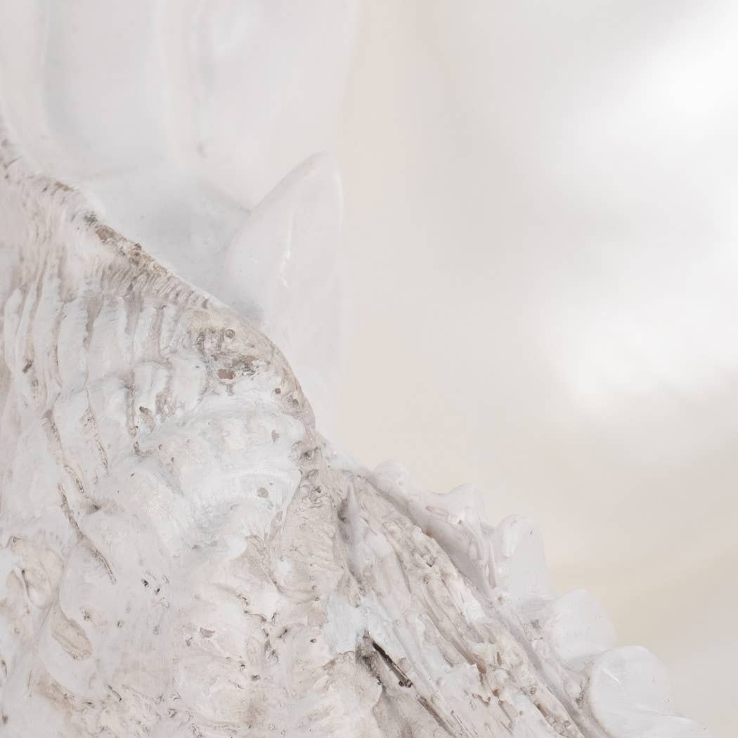 Sagebrook Home - Wholesale Decorative Plate/Dish/Bowl - Decorative Bowl - Ivory Resin Coastal Seashell Shape, 13 in.9