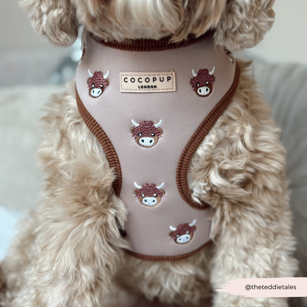 Cocopup London - Wholesale Pet Harness - Dog - Harold the Highland Cow Adjustable Neck HARNESS27
