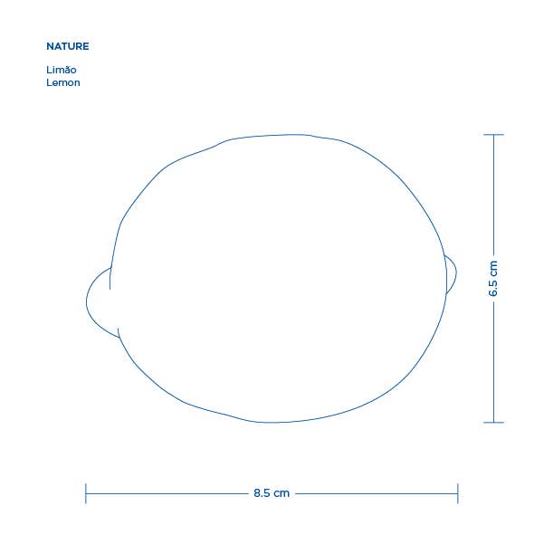 Companhia Atlântica - Wholesale Decorative Tabletop Object - Yellow Lemon NATURE6