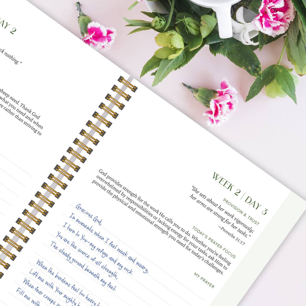 Spiral Bible – Großhandel Tagebuch – Ein Jahr im Gebet: Eine Reise des täglichen Gebets und der Reflexion6