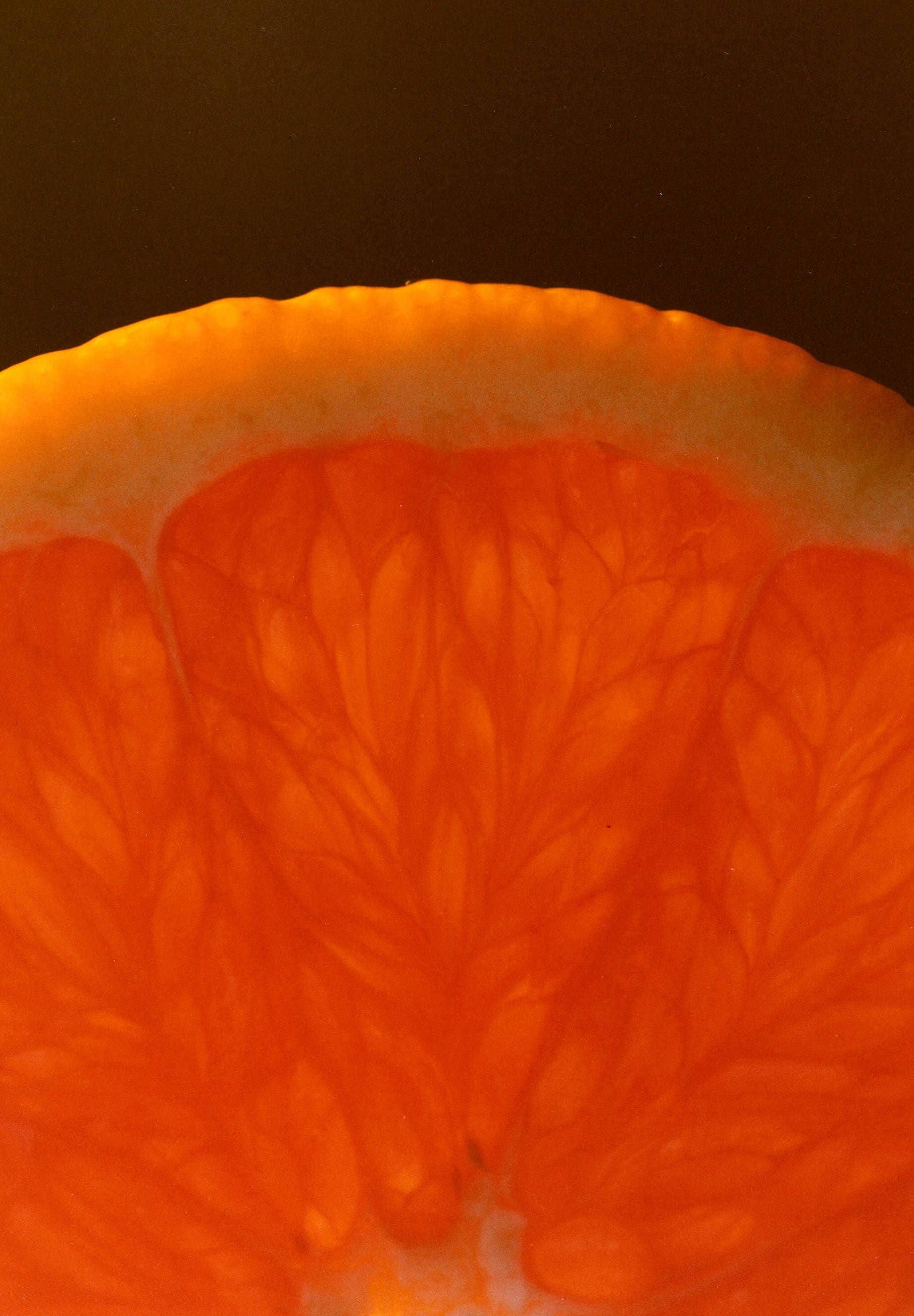 Marmalade Grove - Vente Confiture/gelée - Marmelade Cara Cara et Hibiscus2