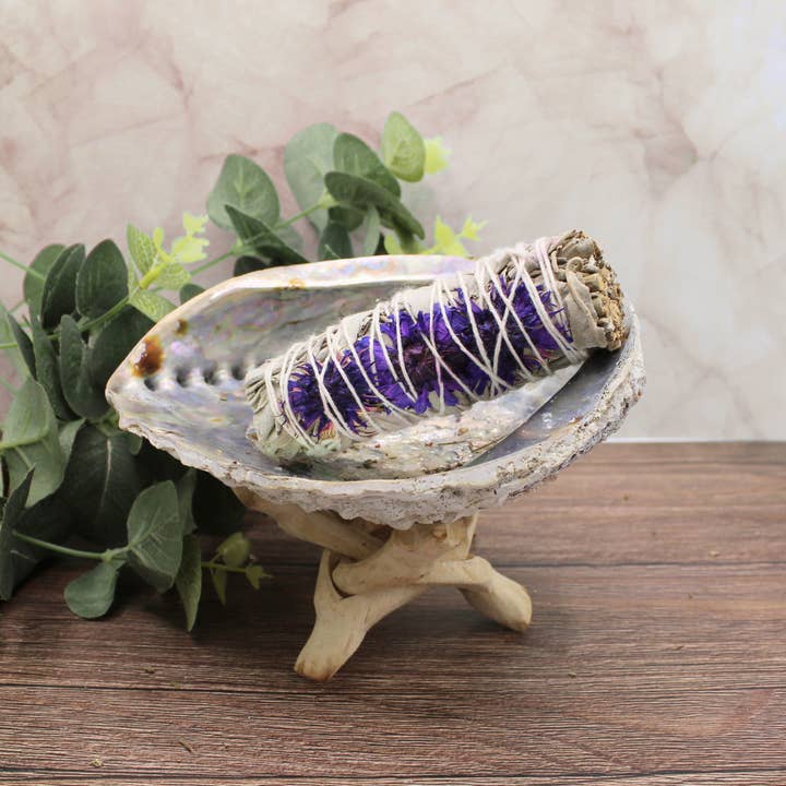 Green Tree - Wholesale Sage Bundle - Purple Daze Sage 10cm2