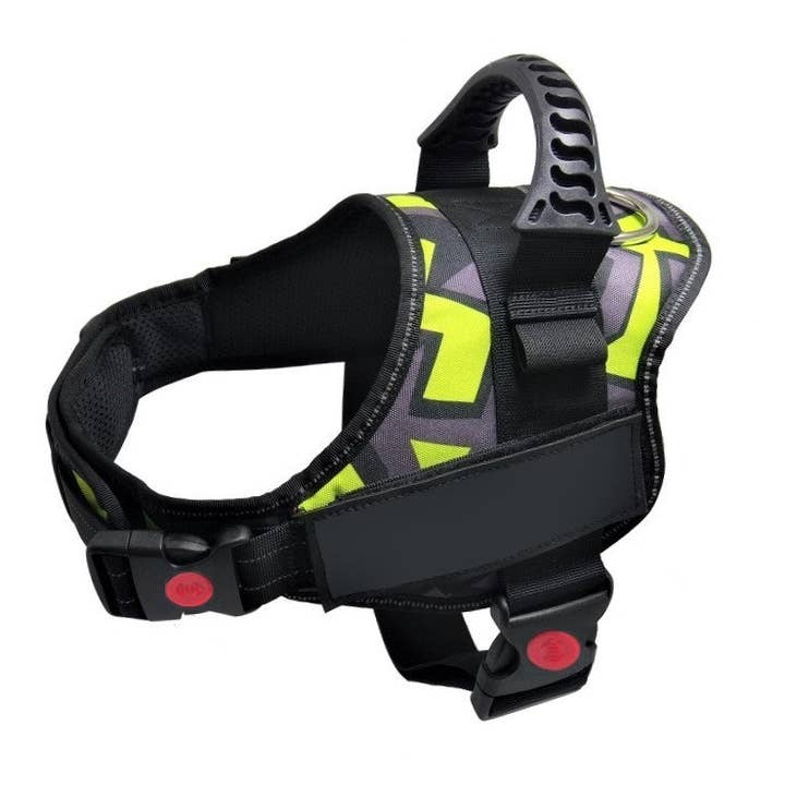 Paws & Son™ Sport - Chaussures de sport pour la vente par Paws & Son