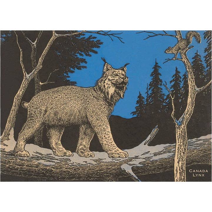 Sticker WD-16 Woodcut of Canada Lynx for wholesale by Found Image Press