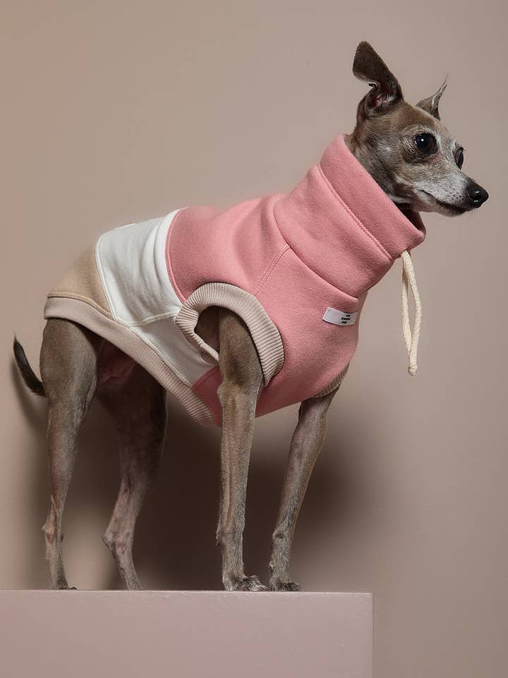 Gilet à col roulé en blocs de couleur pour Lévrier Italien / Whippet SHEAR pour la vente par The Striped Dog