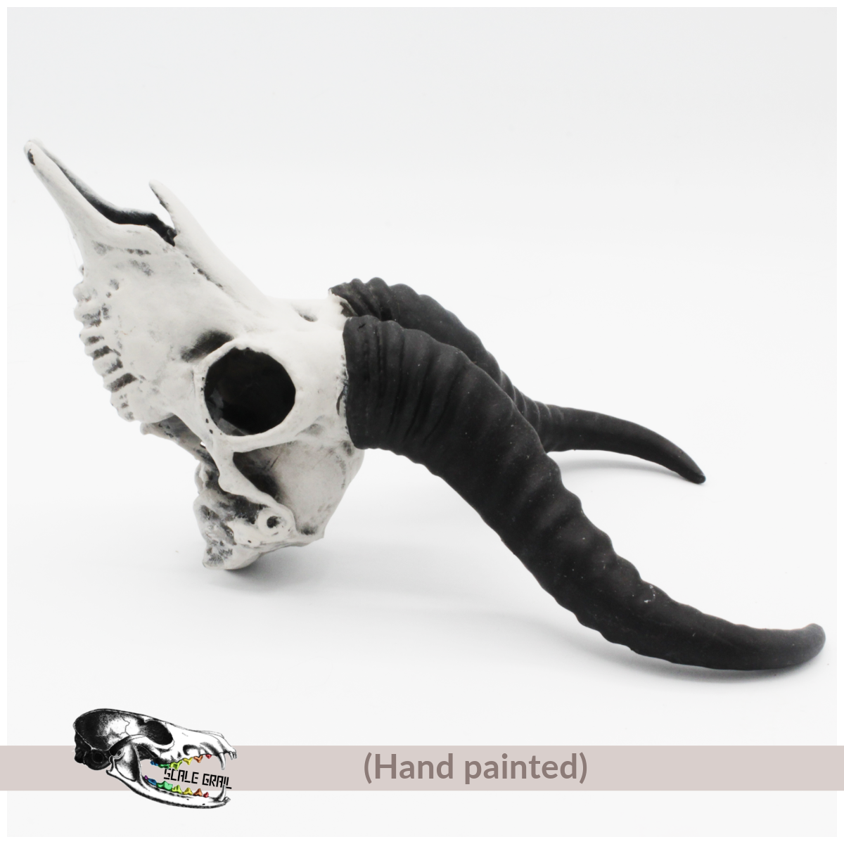 The Scale Grail - Wholesale Decorative Figurine - Springbok Skull - 4mm -1:2 Scale skull miniature replica oddities by The Scale Grail2